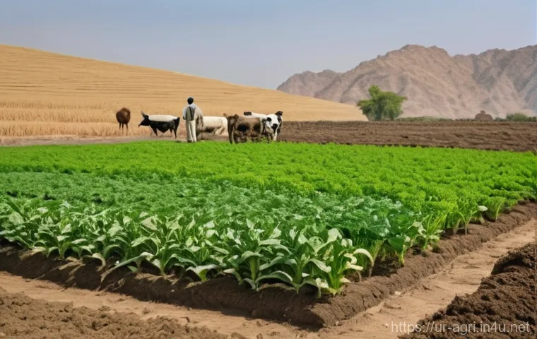 농업 환경 보전 - **A Flourishing Field with Sustainable Practices:** A wide shot of a vibrant, highly fertile agricul...